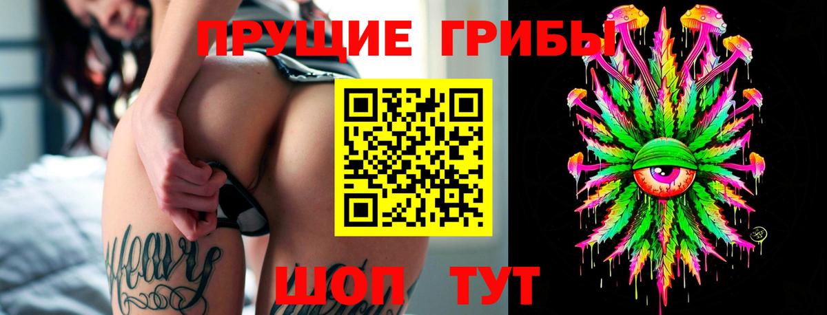 Фролово  Галлюциногенные грибы Psilocybine cubensis  Вход с VPN 